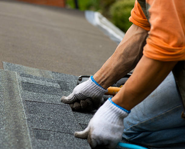 Best Local Roofing Companies  in Russellton, PA